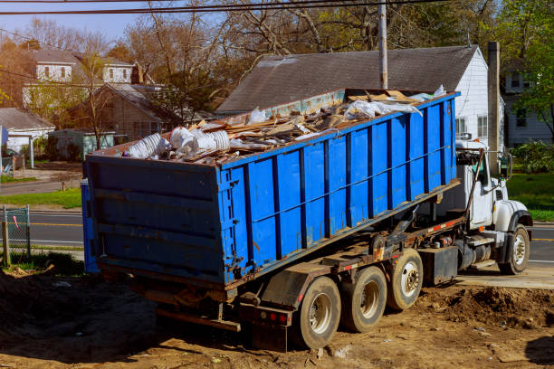 Best Shed Removal  in , WI